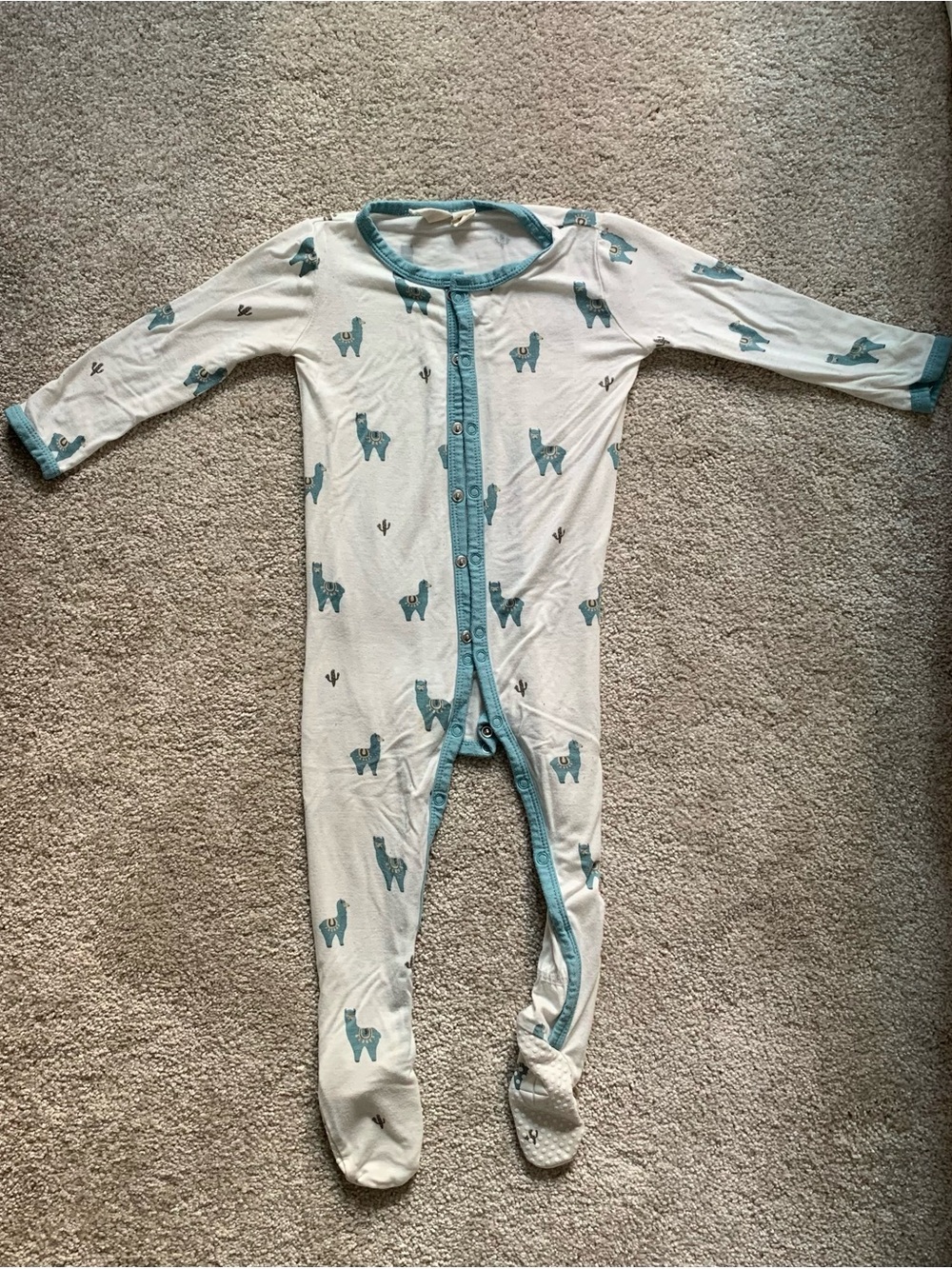 Kyte Baby Alpaca Footie!